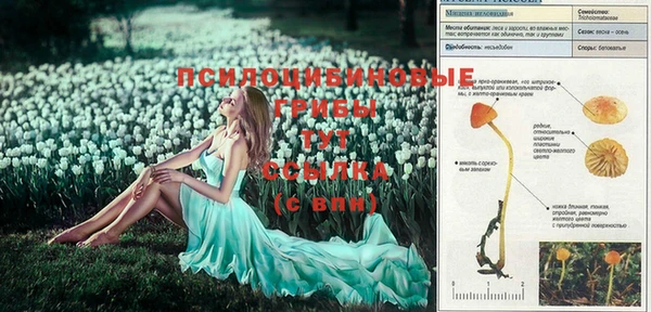 спиды Лихославль