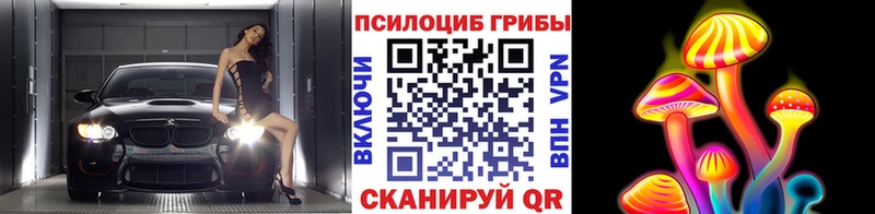 сколько стоит  Белая Калитва  Галлюциногенные грибы прущие грибы 