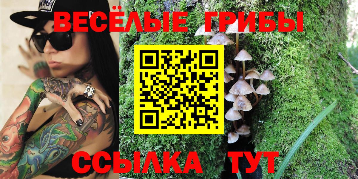 Белая Калитва  Галлюциногенные грибы Cubensis  Вход с VPN  Псилоцибиновые грибы Magic Shrooms 
