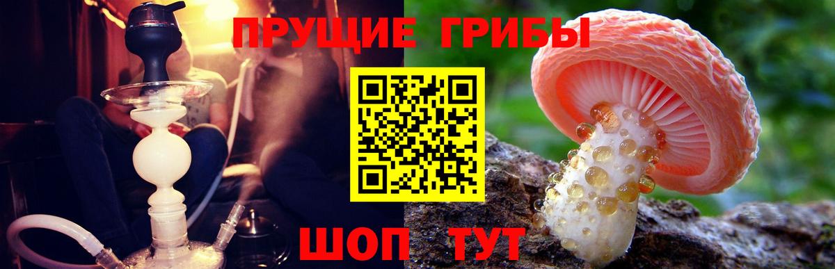Галлюциногенные грибы Cubensis Белая Калитва